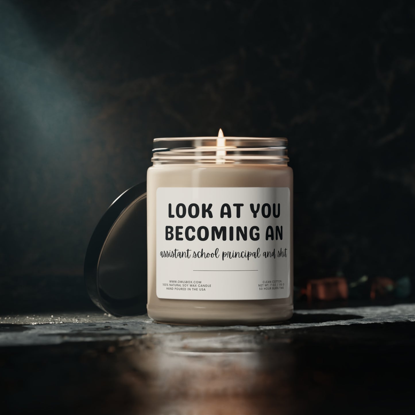 New Assistant Principal Gift | Funny Promotion Gift | Funny AP Gift | Scented Soy Candle | Hand Poured In USA